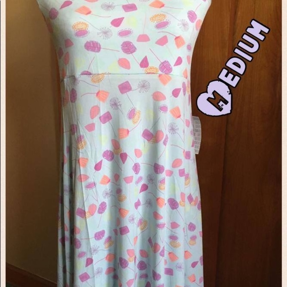 LuLaRoe Medium Maxi Skirt